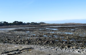 Fort Saumarez and Lihou Island from the north