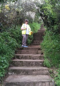 Ange and 73 steps - all clean