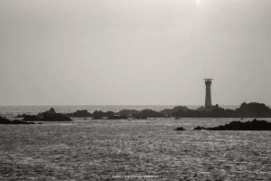 11236426_475923332566421_4497307807939285114_n