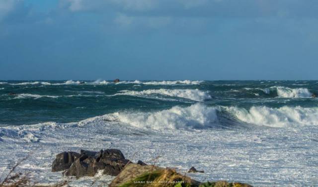 11692712_475919975900090_2147851472430546750_n